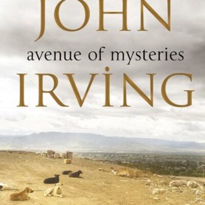 review-in-one-person-by-john-irving-kendra-martin
